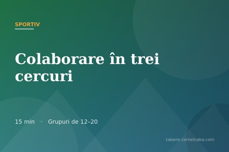 Ilustrație pentru jocul Colaborare în trei cercuri