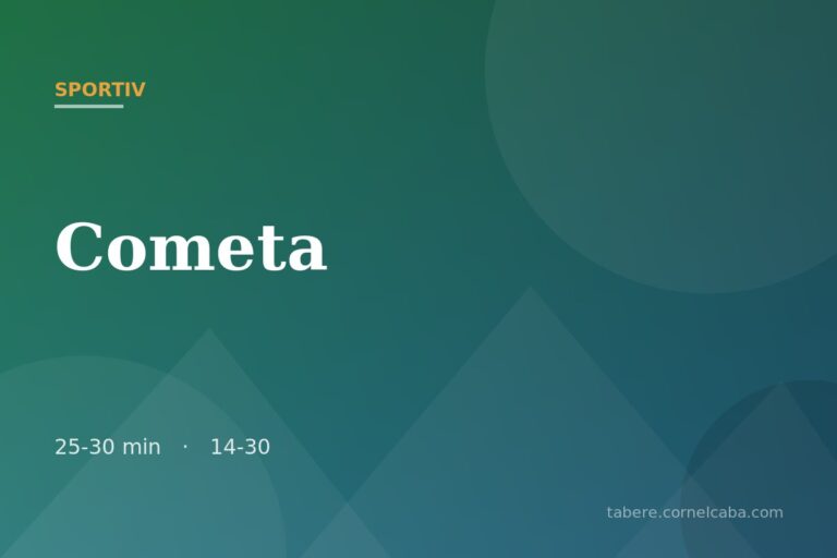 Ilustrație pentru jocul Cometa