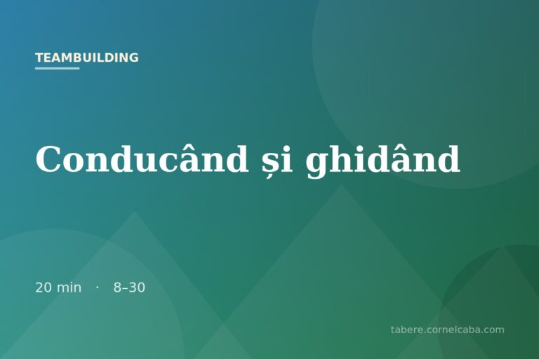 Ilustrație pentru jocul Conducând și ghidând