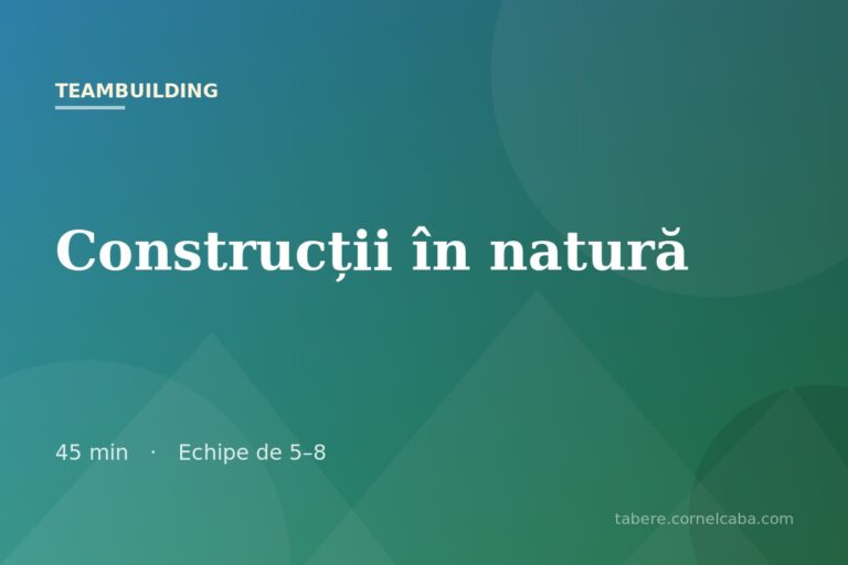 Ilustrație pentru jocul Construcții în natură