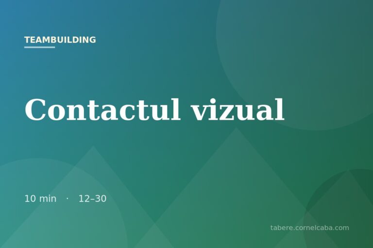 Ilustrație pentru jocul Contactul vizual