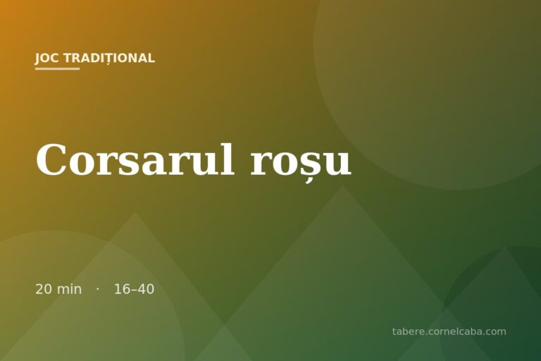 Ilustrație pentru jocul Corsarul roșu