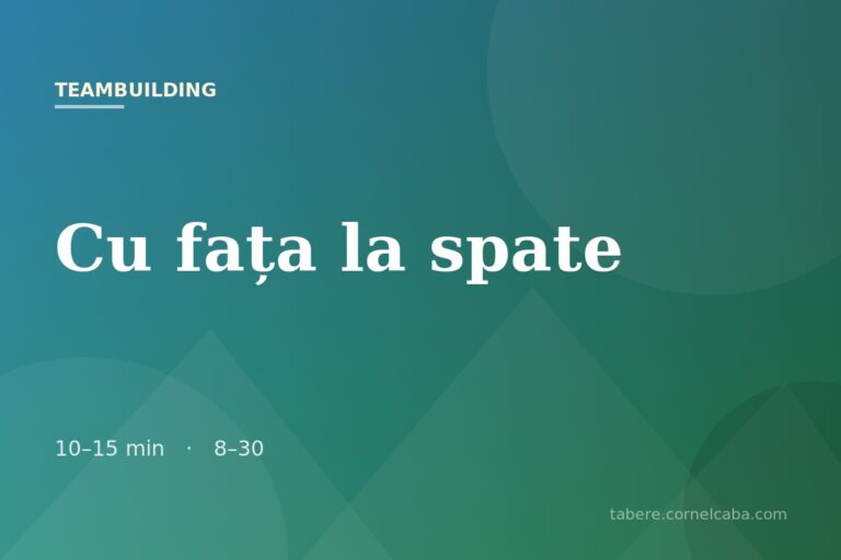Ilustrație pentru jocul Cu fața la spate