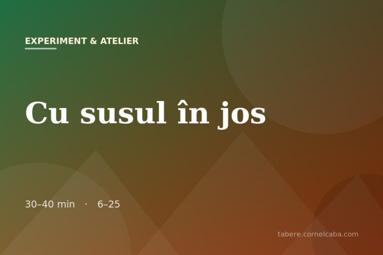 Ilustrație pentru jocul Cu susul în jos