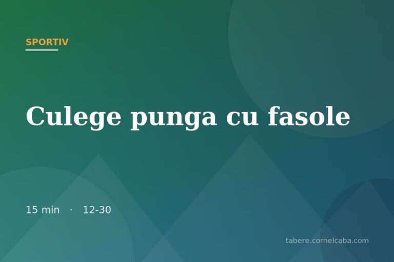 Ilustrație pentru jocul Culege punga cu fasole