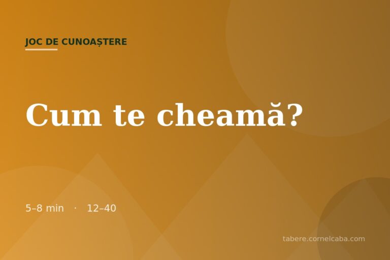 Ilustrație pentru jocul Cum te cheamă?