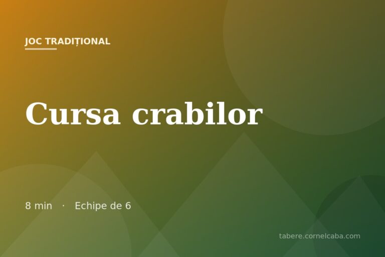 Ilustrație pentru jocul Cursa crabilor