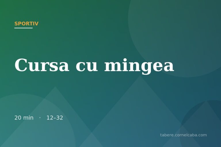 Ilustrație pentru jocul Cursa cu mingea