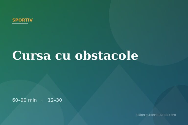 Ilustrație pentru jocul Cursa cu obstacole