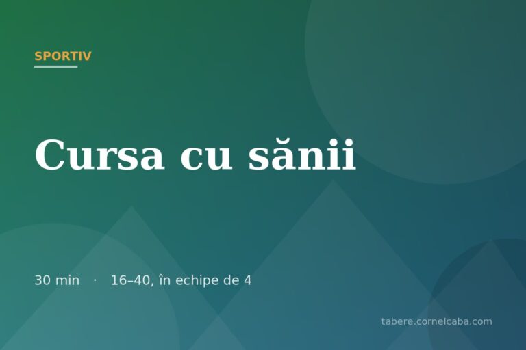 Ilustrație pentru jocul Cursa cu sănii