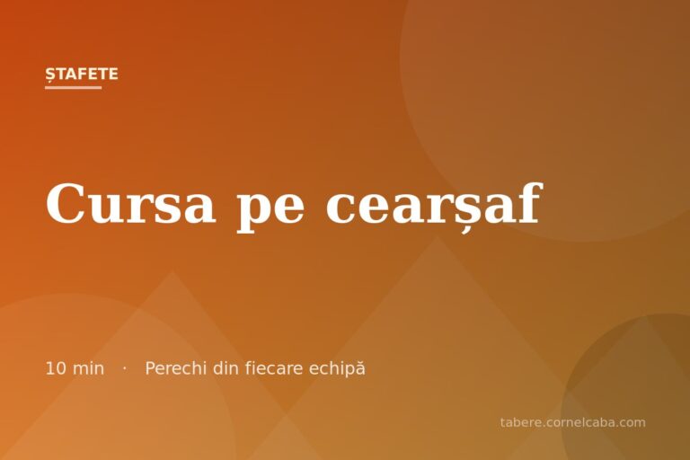 Ilustrație pentru jocul Cursa pe cearșaf