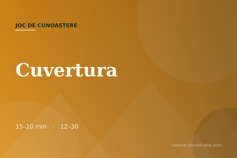 Ilustrație pentru jocul Cuvertura
