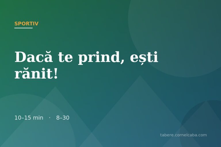 Ilustrație pentru jocul Dacă te prind, ești rănit!