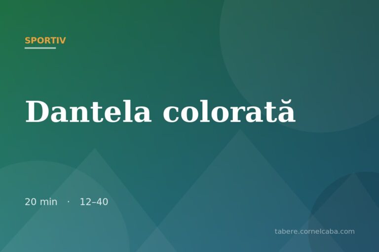 Ilustrație pentru jocul Dantela colorată