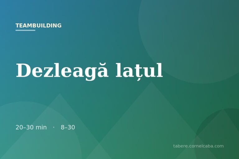 Ilustrație pentru jocul Dezleagă lațul