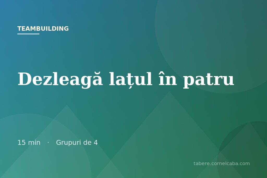 Ilustrație pentru jocul Dezleagă lațul în patru