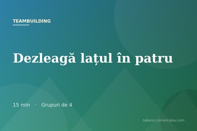 Ilustrație pentru jocul Dezleagă lațul în patru