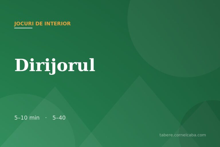 Ilustrație pentru jocul Dirijorul