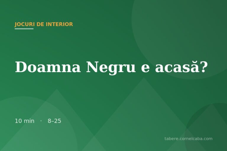 Ilustrație pentru jocul Doamna Negru e acasă?