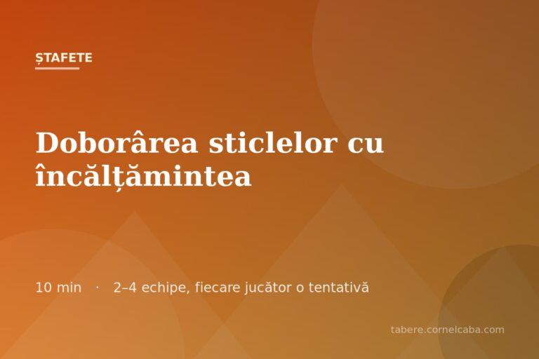 Ilustrație pentru jocul Doborârea sticlelor cu încălțămintea