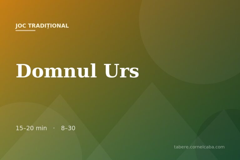 Ilustrație pentru jocul Domnul Urs