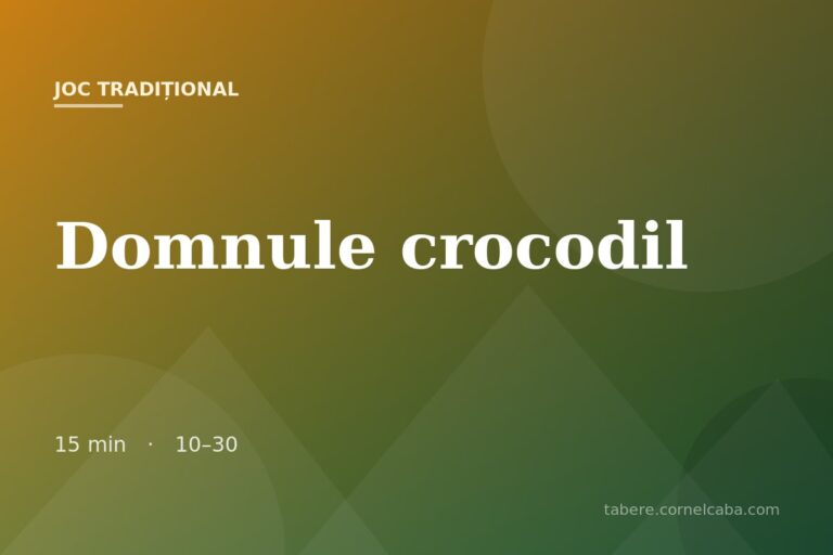 Ilustrație pentru jocul Domnule crocodil