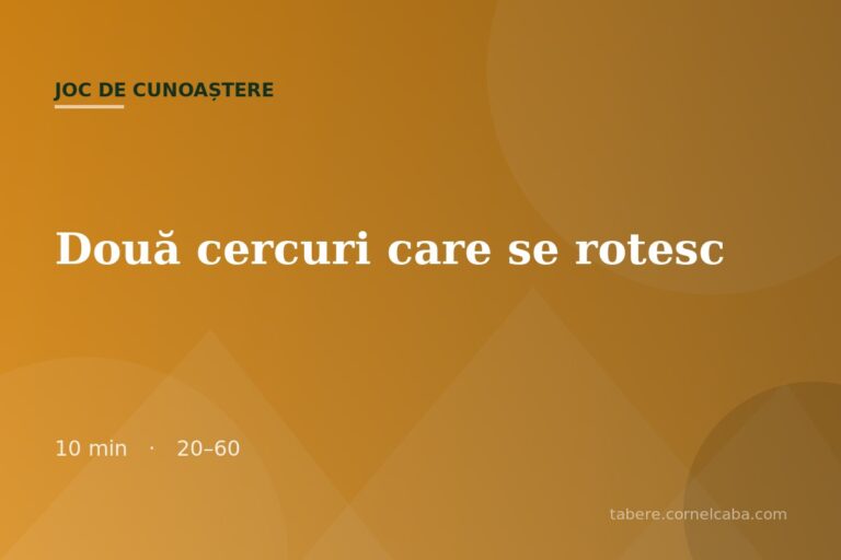 Ilustrație pentru jocul Două cercuri care se rotesc