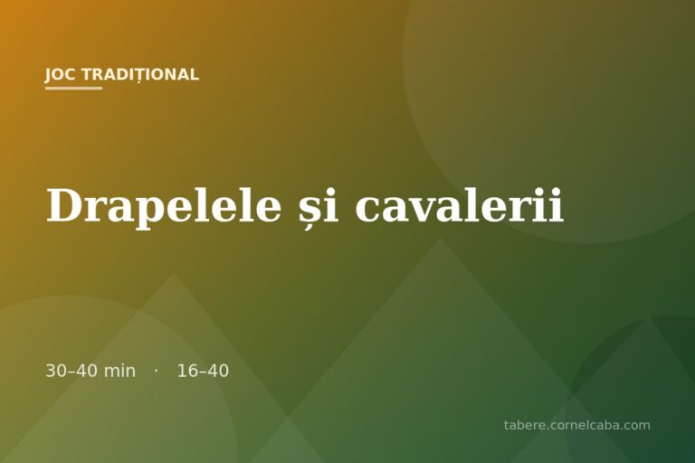 Ilustrație pentru jocul Drapelele și cavalerii