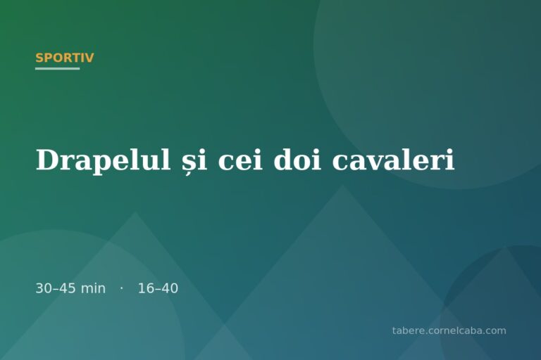 Ilustrație pentru jocul Drapelul și cei doi cavaleri