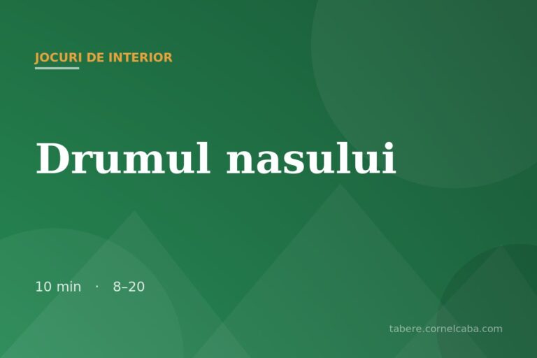 Ilustrație pentru jocul Drumul nasului