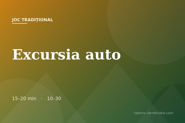Ilustrație pentru jocul Excursia auto