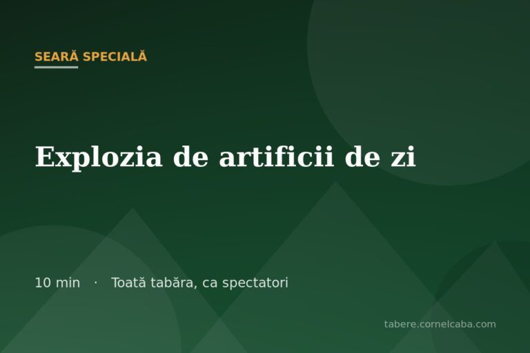 Ilustrație pentru jocul Explozia de artificii de zi