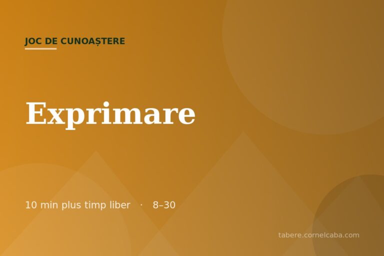 Ilustrație pentru jocul Exprimare