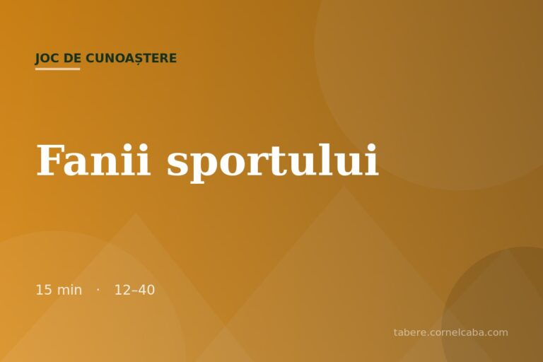 Ilustrație pentru jocul Fanii sportului