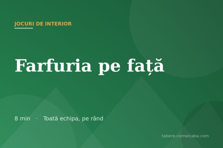 Ilustrație pentru jocul Farfuria pe față