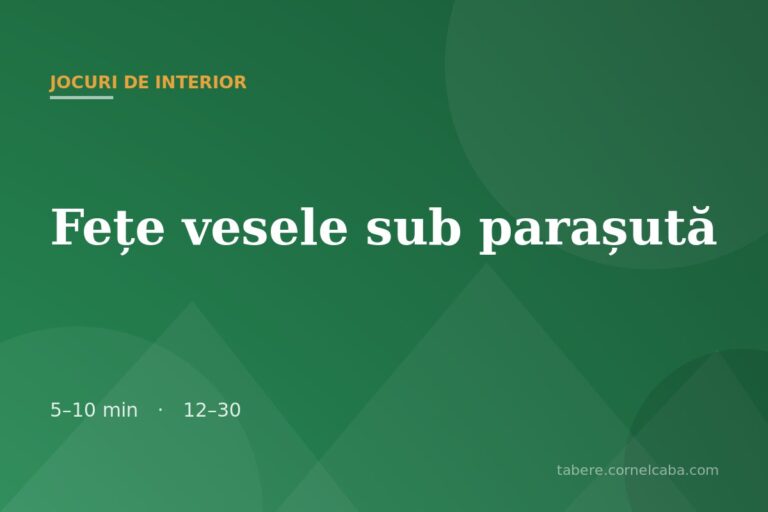 Ilustrație pentru jocul Fețe vesele sub parașută