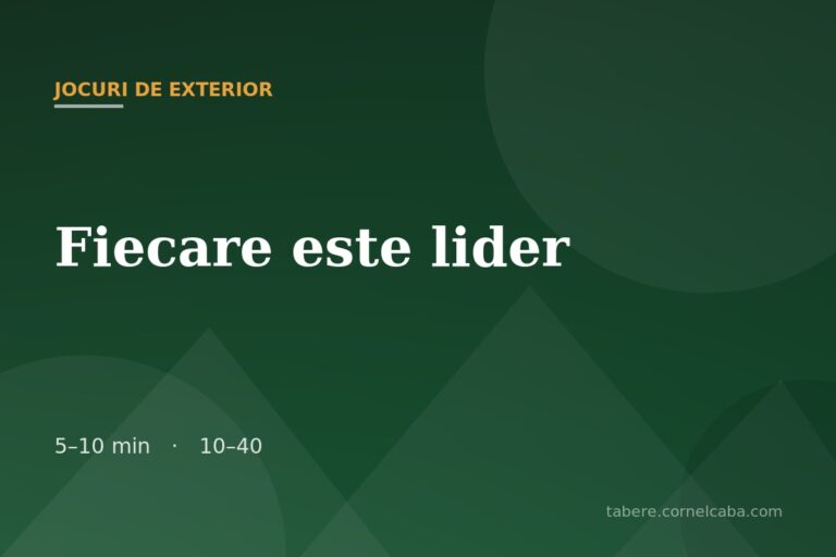 Ilustrație pentru jocul Fiecare este lider