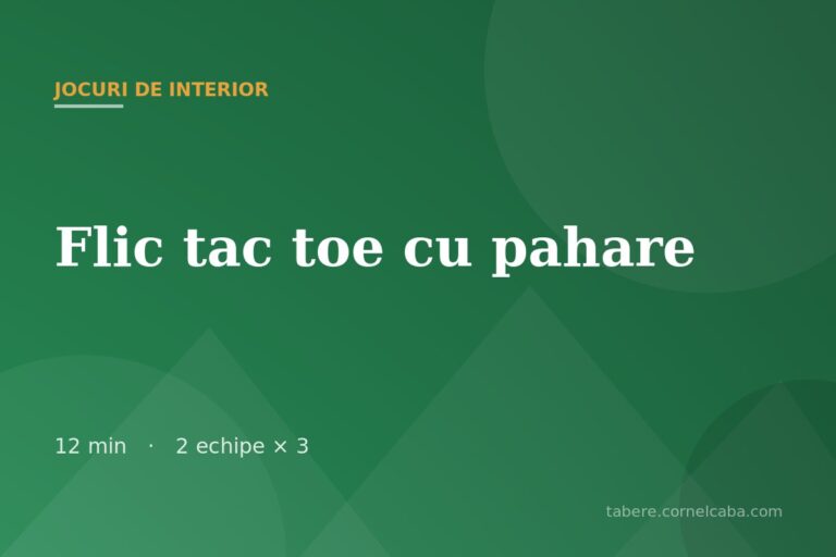 Ilustrație pentru jocul Flic tac toe cu pahare