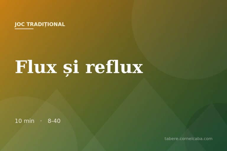 Ilustrație pentru jocul Flux și reflux