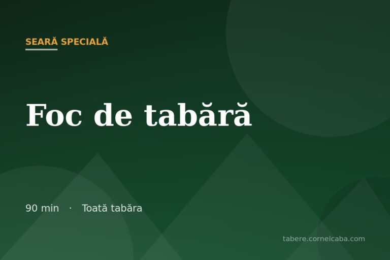 Ilustrație pentru jocul Foc de tabără