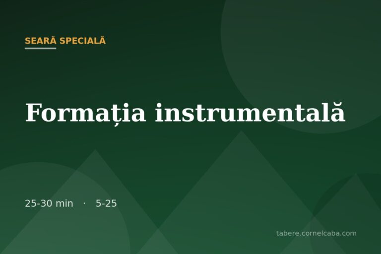 Ilustrație pentru jocul Formația instrumentală