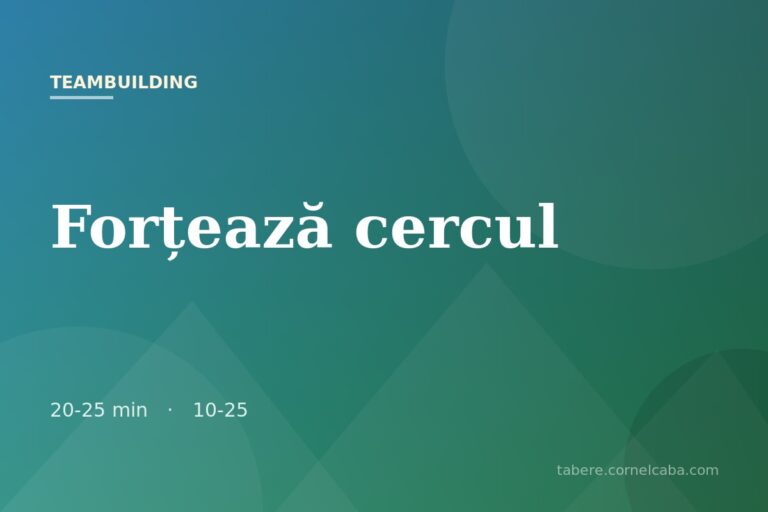 Ilustrație pentru jocul Forțează cercul