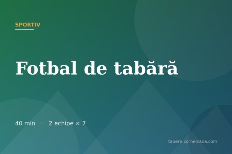 Ilustrație pentru jocul Fotbal de tabără