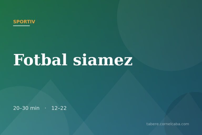 Ilustrație pentru jocul Fotbal siamez
