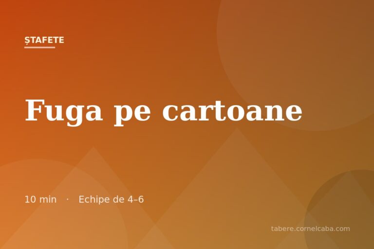 Ilustrație pentru jocul Fuga pe cartoane