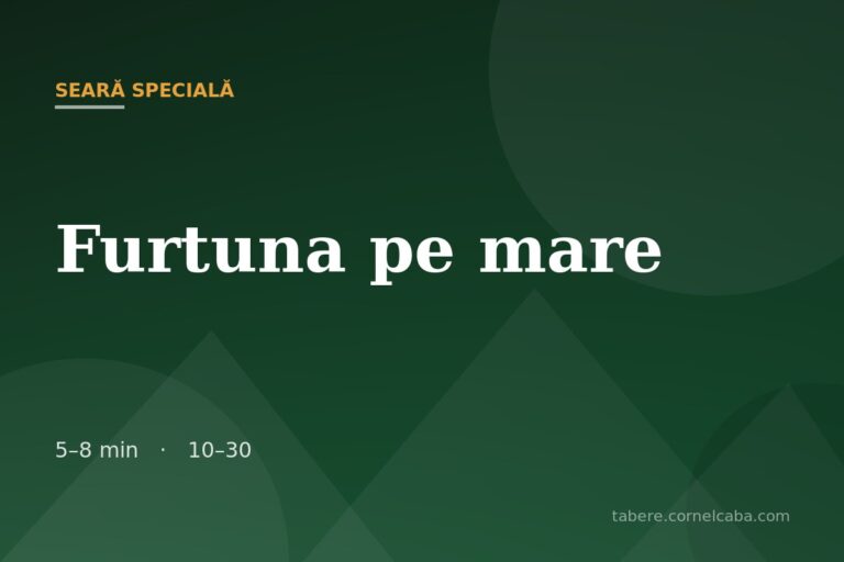 Ilustrație pentru jocul Furtuna pe mare