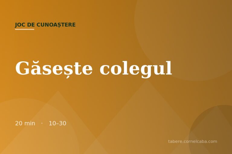 Ilustrație pentru jocul Găsește colegul