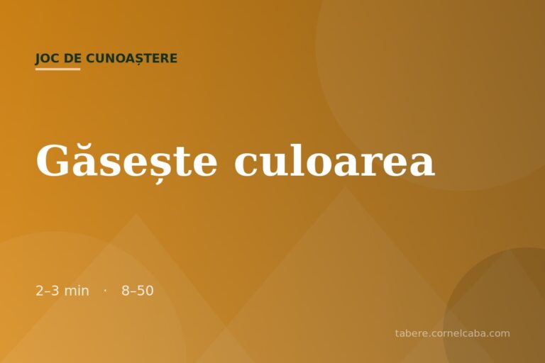 Ilustrație pentru jocul Găsește culoarea