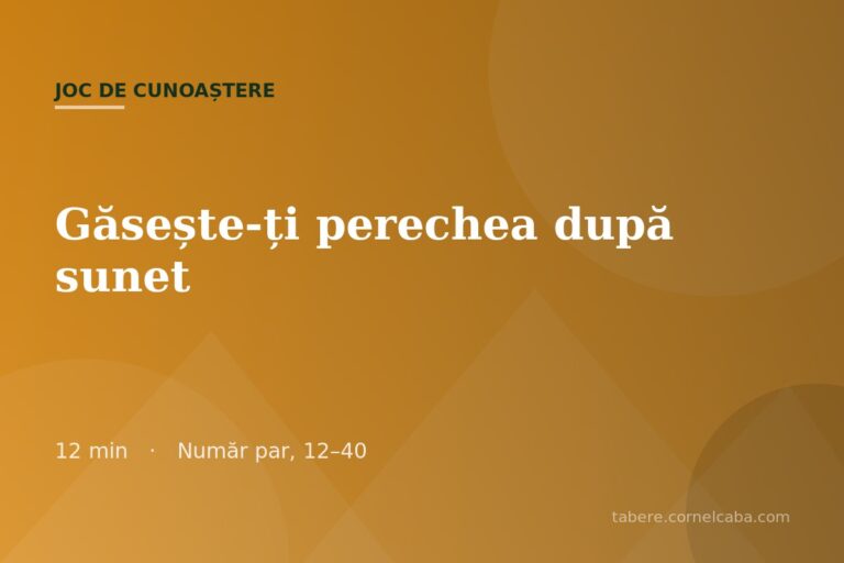Ilustrație pentru jocul Găsește-ți perechea după sunet