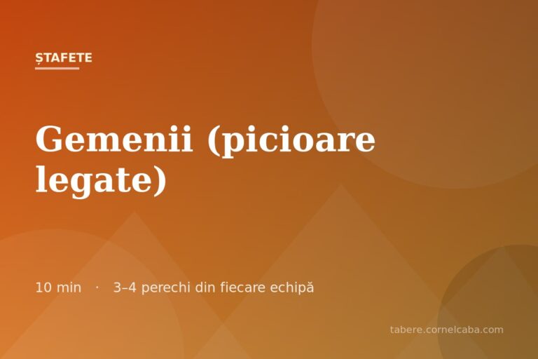 Ilustrație pentru jocul Gemenii (picioare legate)